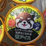 レッサーパンダの気持ちになれる笹アイス