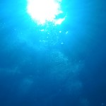 沖縄 ケラマで海の中の動画をYouTubeにアップ