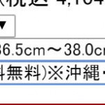 超簡単！楽天のレビューを書いて送料無料はダメになったけど自分のお店は大丈夫か簡単に確認する方法