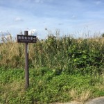 久米島の謎のスポット熱帯魚の家に行ってきた！