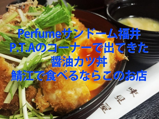 perfumeサンドーム福井で出てきた醤油カツ丼